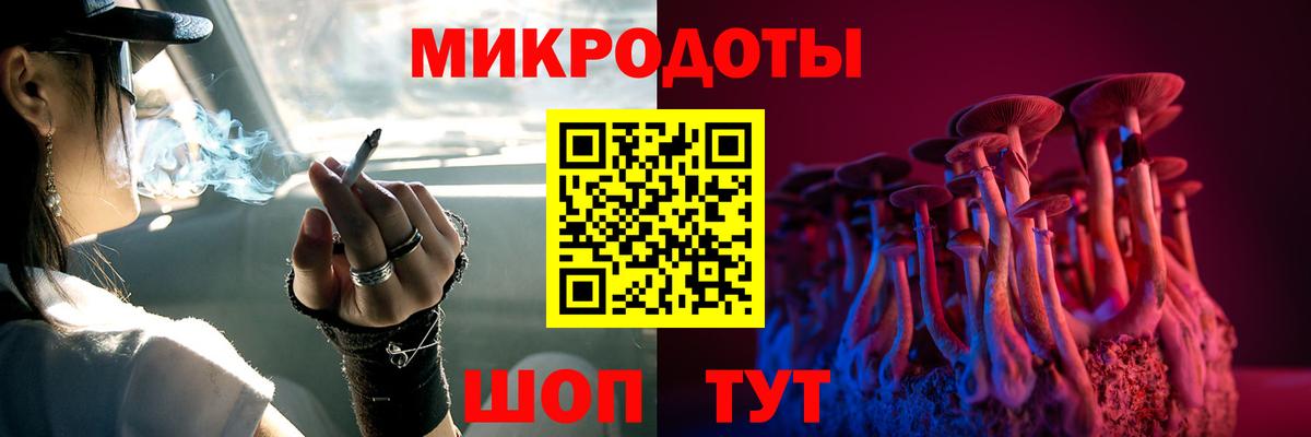 Галлюциногенные грибы Cubensis  Вход с VPN  Кольчугино 