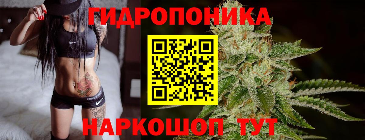 Конопля SATIVA & INDICA Кольчугино